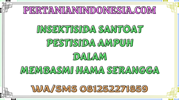 Insektisida Santoat Pestisida Ampuh Dalam Membasmi Hama Serangga